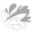 Rappa Ninjutsu: Rise Above Tumbles, basic atk icon | Honkai: Star Rail
