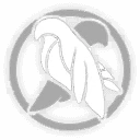 Qingque Bide Time, Bonus Ability icon | Honkai: Star Rail